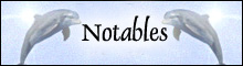 cool websites